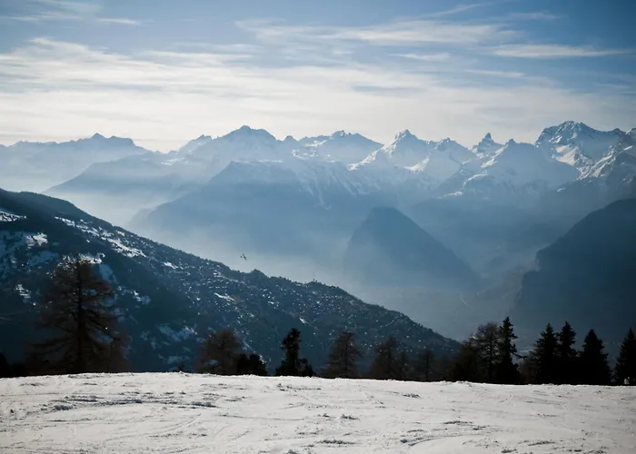 Appartement Greppons P 011 - Mountain 6 Pers Veysonnaz